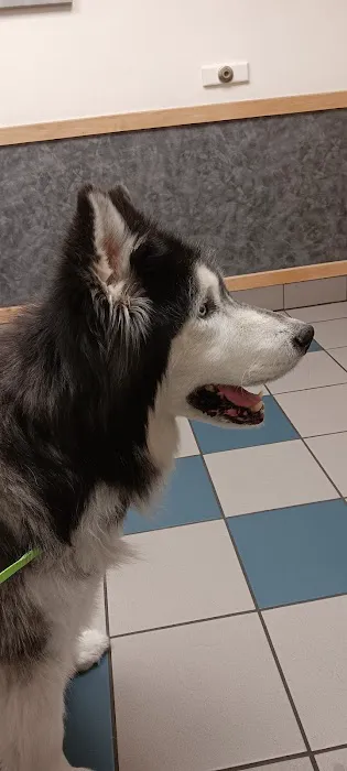 Tiogue Veterinary Clinic Picture 5