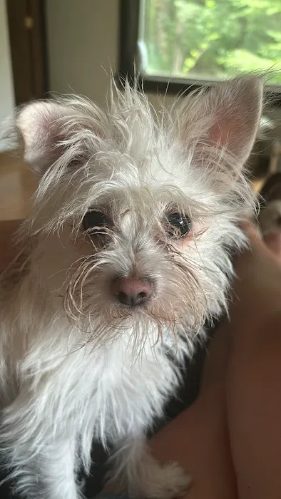 Tiogue Veterinary Clinic Picture 10