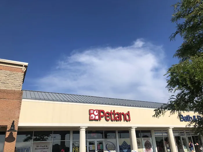 Petland Lewis Center Picture 1