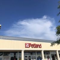 Petland Lewis Center ico
