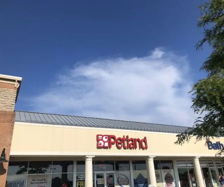 Petland Lewis Center