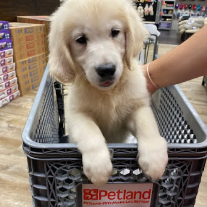 Petland Lewis Center Picture 4