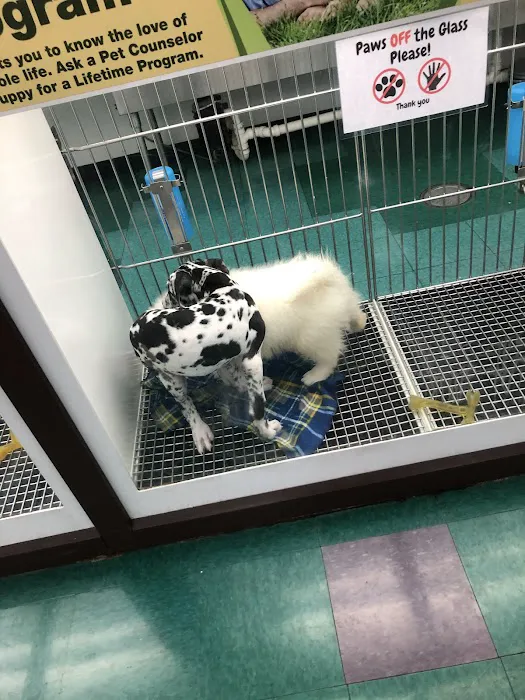 Petland Lewis Center Picture 8