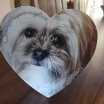 Housecall Animal Medical Care