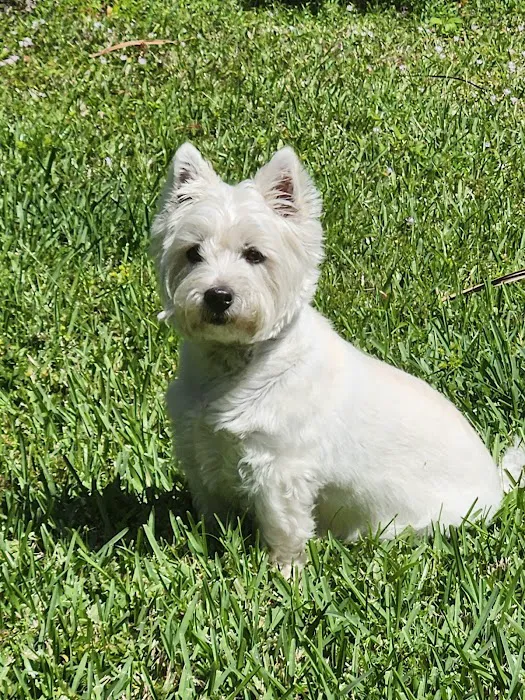 Hope Veterinary Care Picture 8