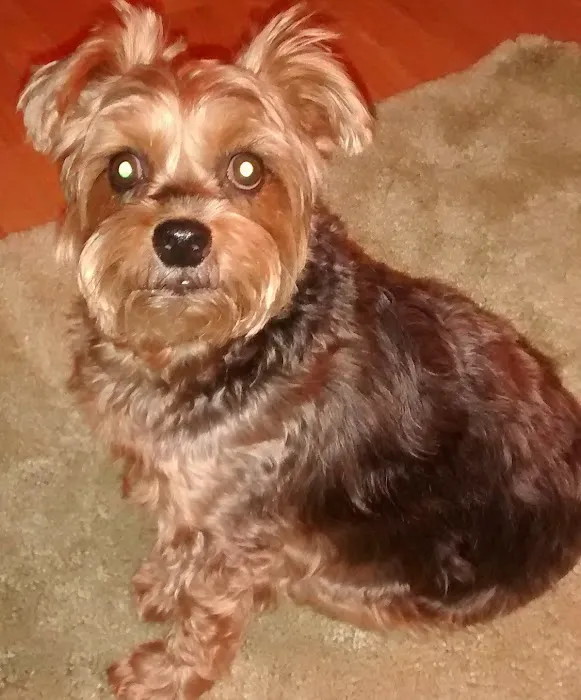 Hope Veterinary Care Picture 9