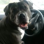 Richmond Veterinary Clinic, Inc.