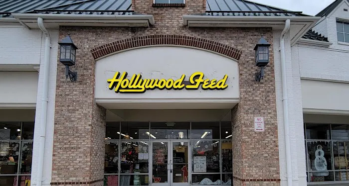 Hollywood Feed Picture 6