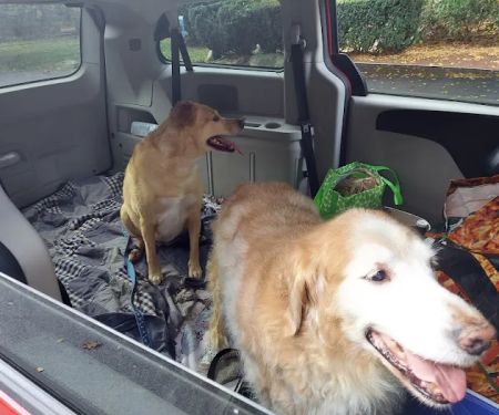 Chariho Animal Hospital