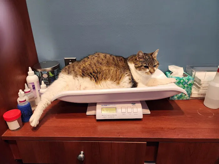 Chariho Animal Hospital Picture 3