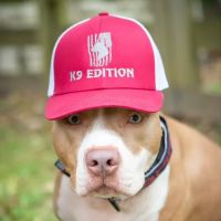 K9 Edition ico