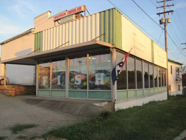 J P Success, Inc. Picture 3