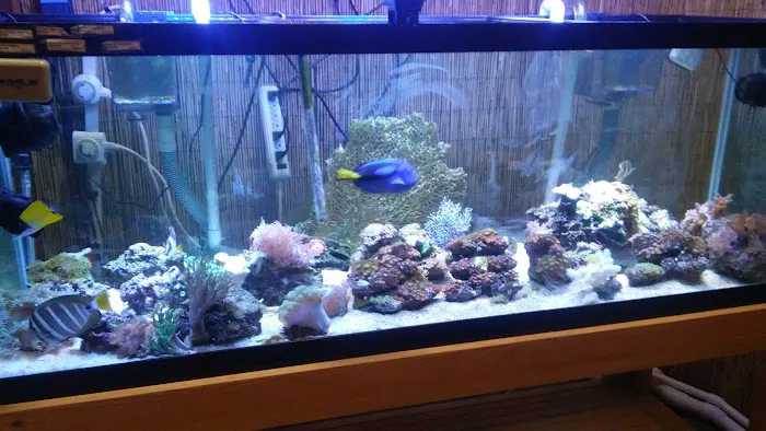 J P Success, Inc. Picture 1