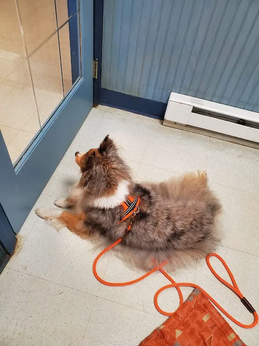 Atlantic Animal Hospital & Wellness Center Picture 9