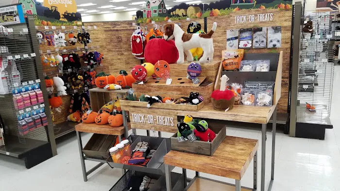 Petco Picture 2