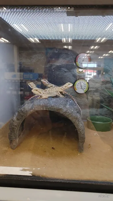 Petco Picture 5
