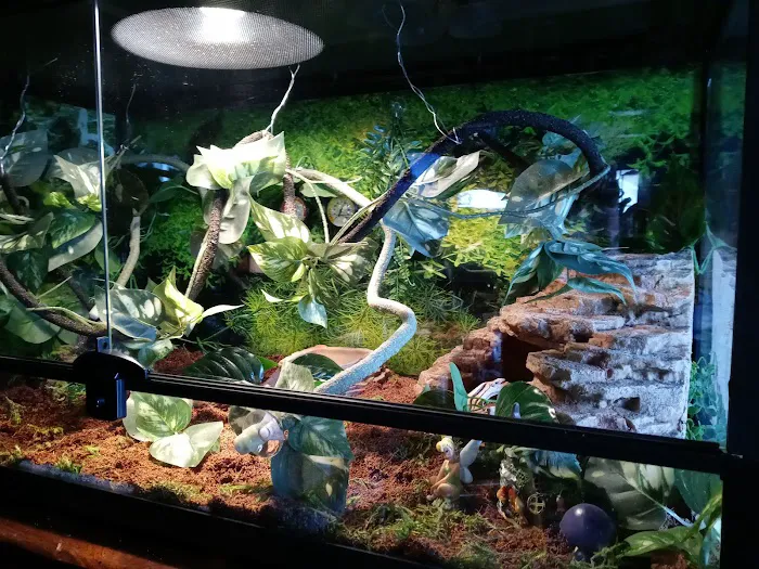 Petco Picture 10