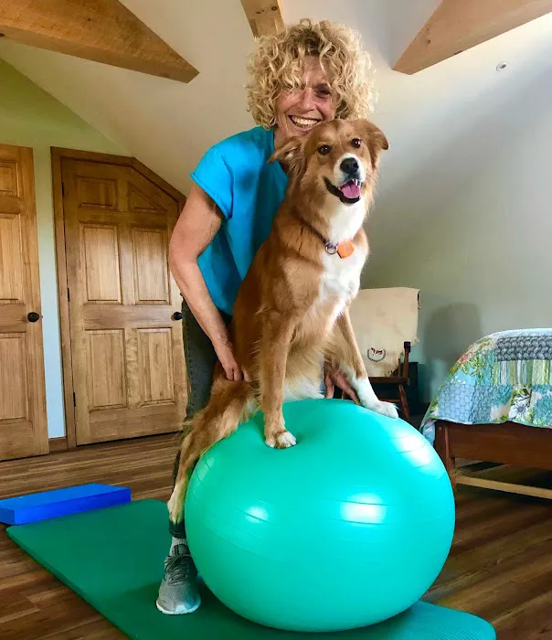 Rhode Island Pet Rehab Picture 4