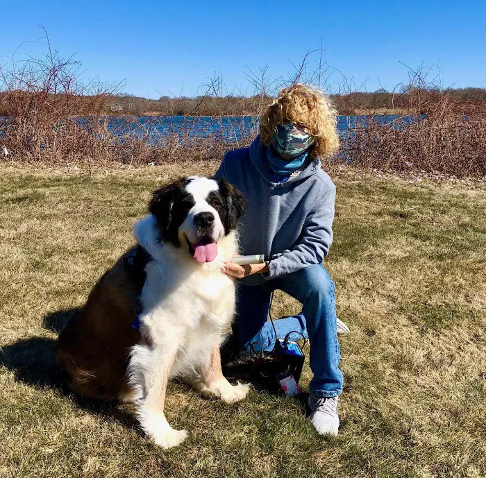 Rhode Island Pet Rehab Picture 10