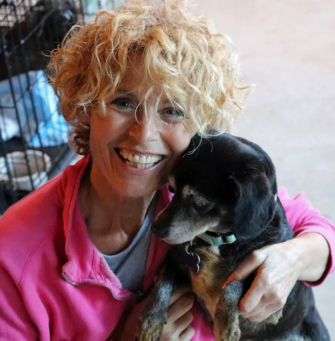 Rhode Island Pet Rehab Picture 8