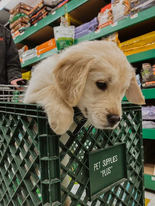 Pet Supplies Plus Newark Picture 4
