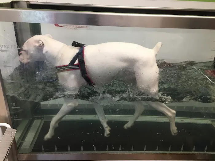 Mill Valley Veterinary Clinic Picture 6