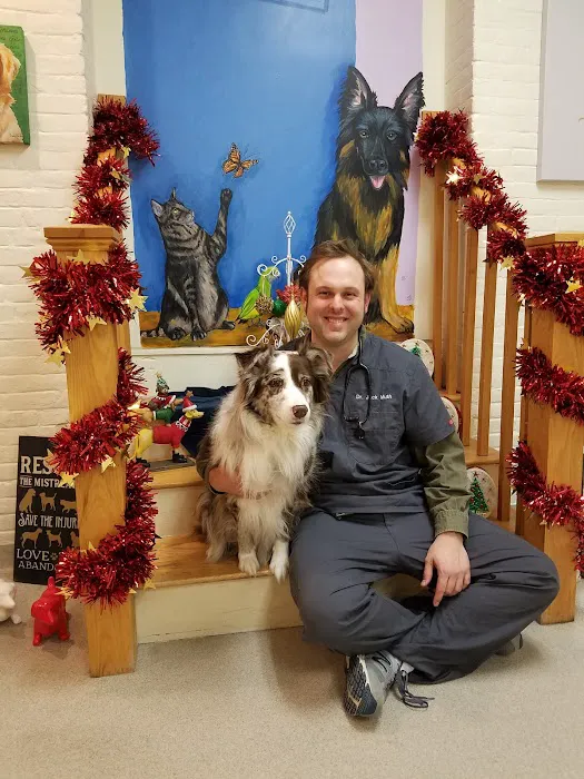 Canterbury Tails Veterinary Clinic Picture 4