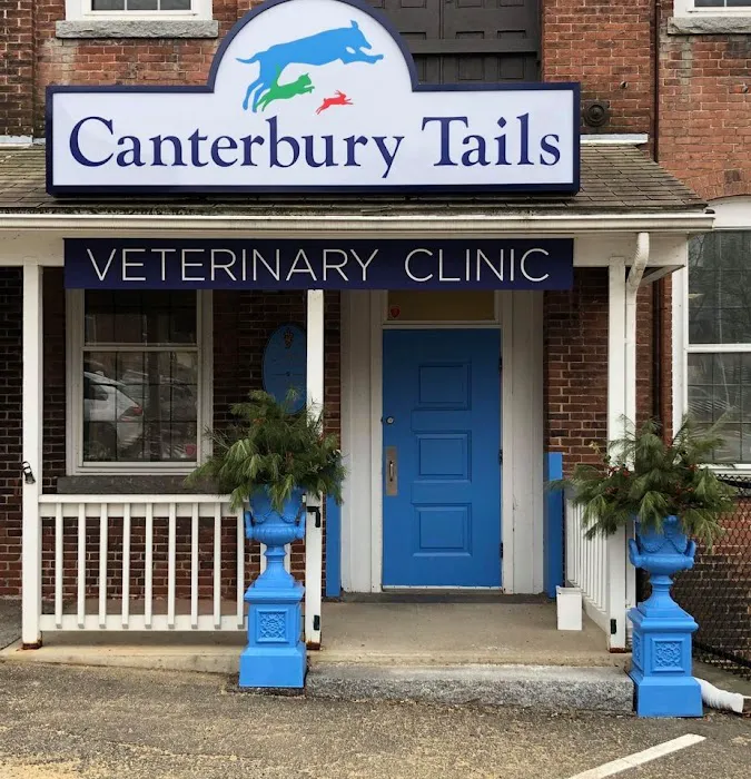 Canterbury Tails Veterinary Clinic Picture 3