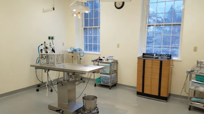 Canterbury Tails Veterinary Clinic Picture 5
