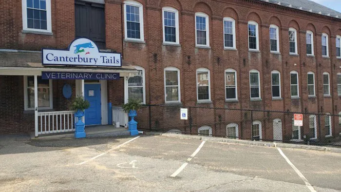 Canterbury Tails Veterinary Clinic Picture 1