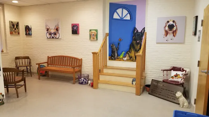 Canterbury Tails Veterinary Clinic Picture 8