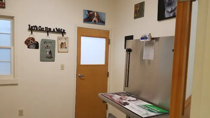 Canterbury Tails Veterinary Clinic Picture 9