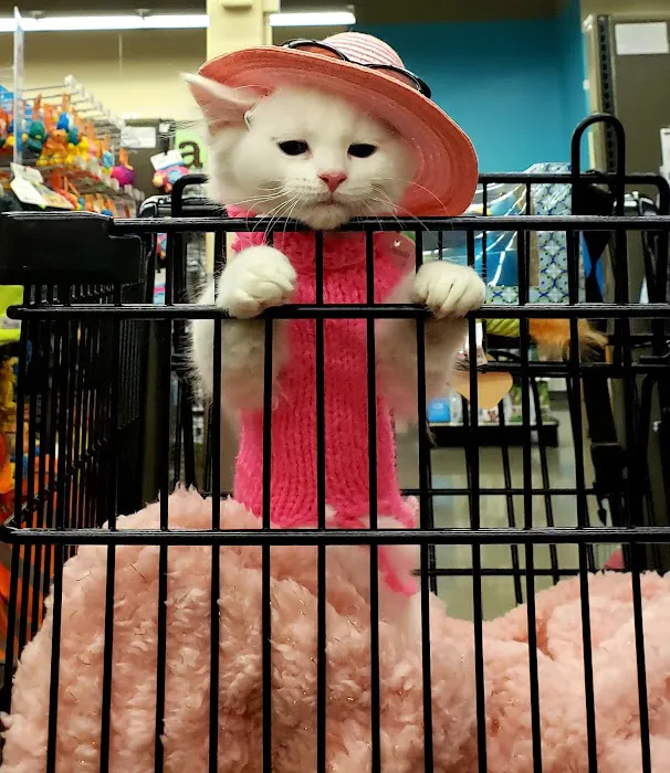 Petco Picture 2