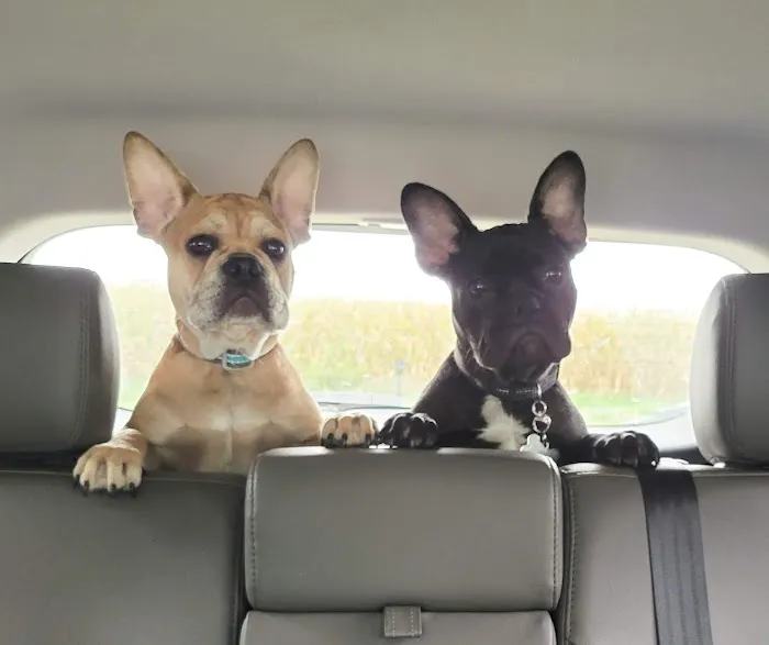 Petco Picture 4