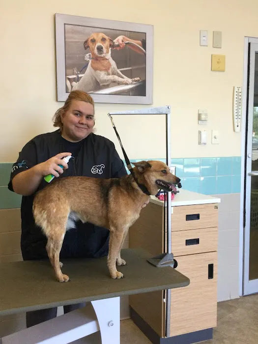 Petco Picture 6