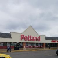 Petland Chillicothe ico