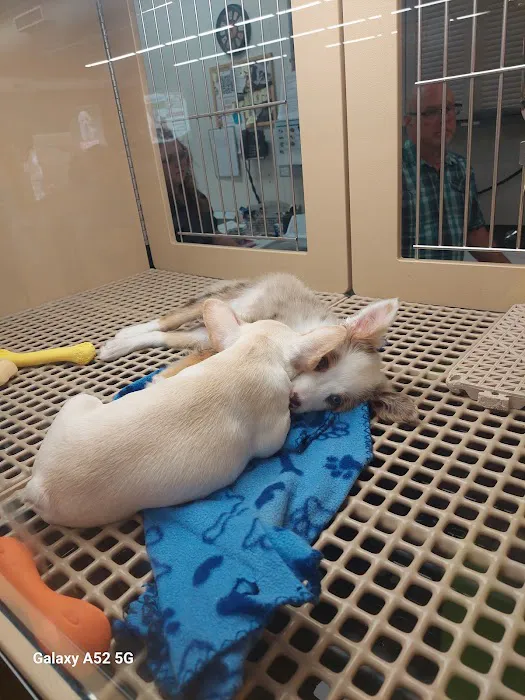 Petland Chillicothe Picture 4