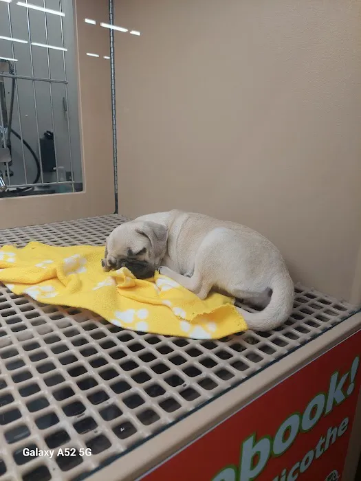 Petland Chillicothe Picture 8