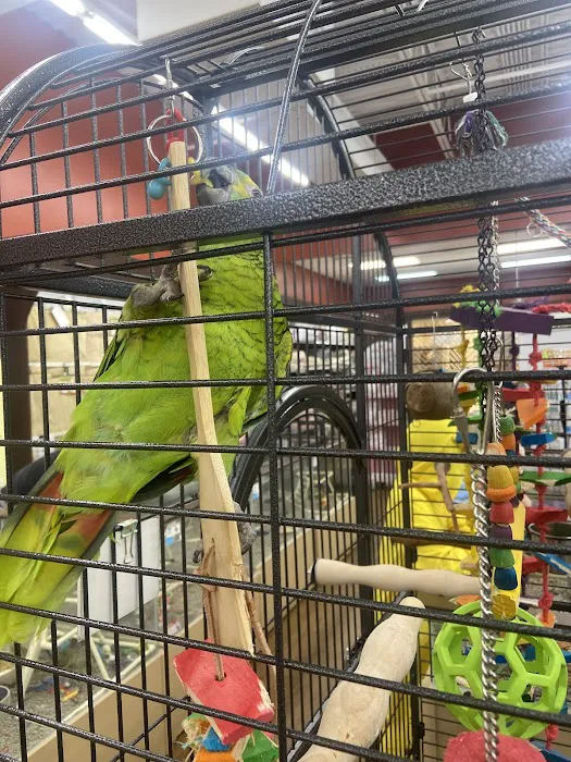 Petland Chillicothe Picture 9