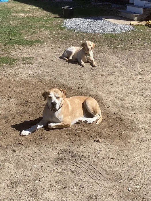 Hardwick Pond Vet Center Picture 1