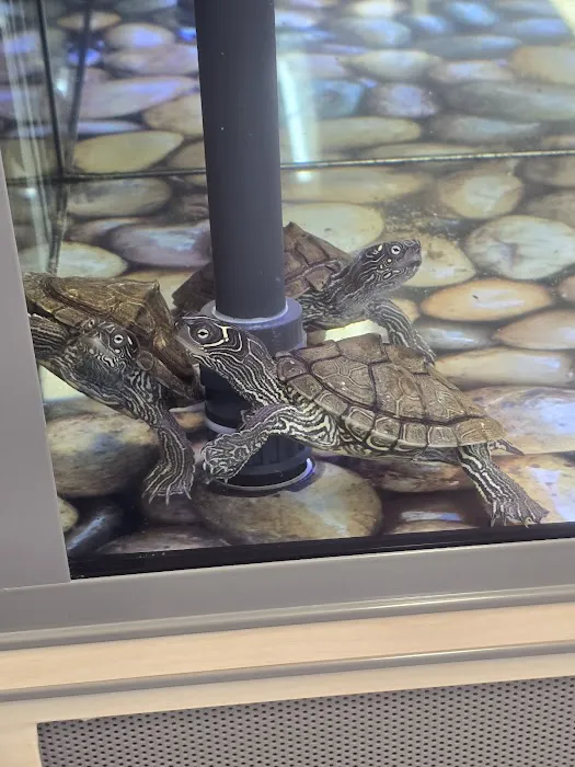Petco Picture 2