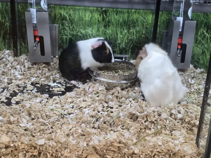 Petco Picture 5