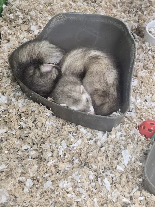 Petco Picture 3