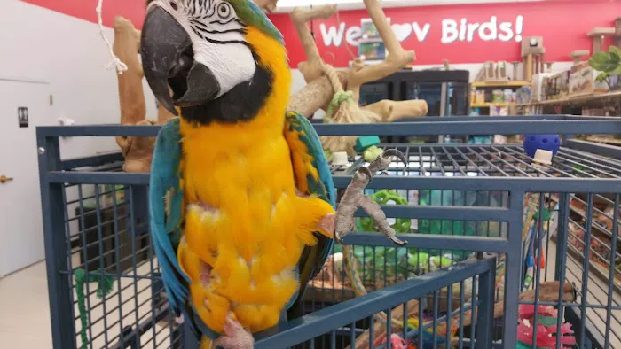 We Lov Pets - Mt Vernon Picture 8