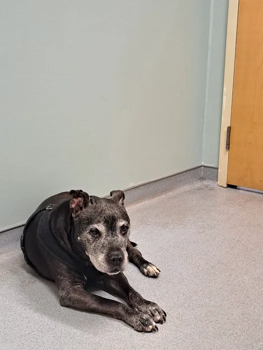 Sunderland Animal Hospital Inc Picture 6