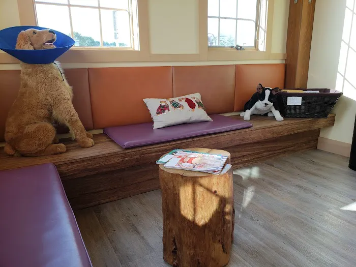 Animal Eye Care of New England Picture 3