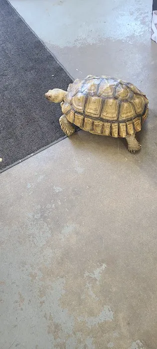 Ohio Pet Depot Picture 8