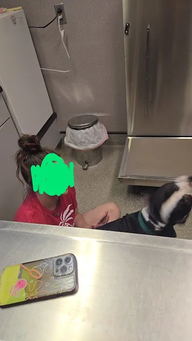 Jefferson Veterinary Hospital Picture 6