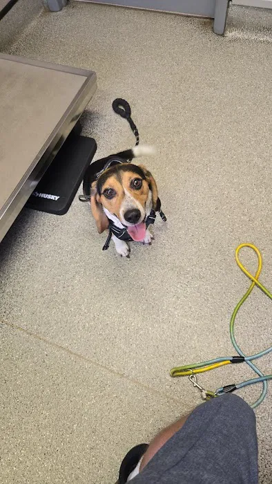 Jefferson Veterinary Hospital Picture 4