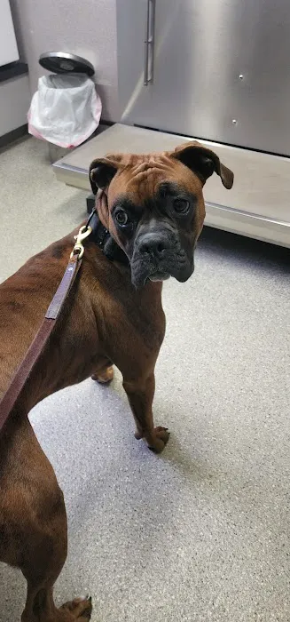 Jefferson Veterinary Hospital Picture 7